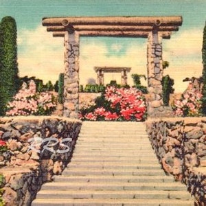 Sofortiger Download druckbare Kunst, Ravine Gardens State Park Palatka Florida Leinen Postkarte - Digital Download