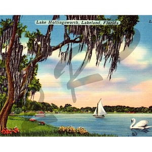 Lago Hollingsworth | Lakeland FL | Cisne e Veleiro | Velha Flórida | Cartão postal vintage Cartão postal de linho para impressão instantânea