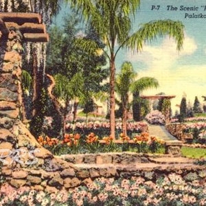 Sofortiger Download druckbare Kunst, Ravine Gardens State Park Palatka Florida Leinen Postkarte - Digital Download