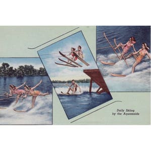 Vieille Floride, carte postale vintage, Cypress Gardens, ski nautique, havre d'hiver, skieuses nautiques, Aqua Maids, impression instantanée, téléchargement numérique