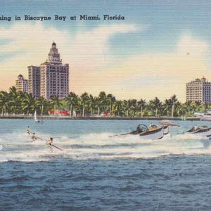 Miami Wasserski | Aquaplaning | Biscayne Bay | Alte Florida | Vintage Postkarte Sofortiger druckbarer digitaler Download