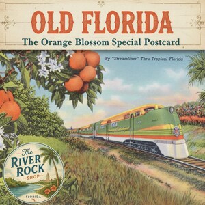 Digital Download Old Florida History Orange Blossom Special, Seaboard Railway, Streamliner Train, Diesel Engine Postcard Instant Printable