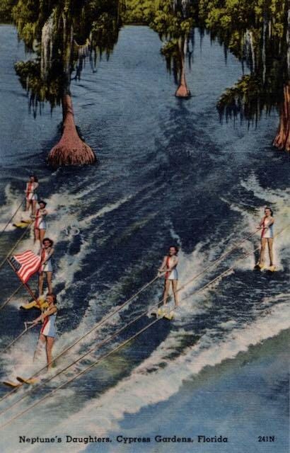 Cypress Gardens Water Skiing Wall Art - Etsy