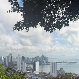 Op de afbeelding: Een stadsgezicht met talrijke hoge gebouwen langs een kustlijn. Weelderig groen gebladerte omlijst de voorgrond, terwijl de lucht bewolkt is. Het water is kalm, wat een heldere sc&egrave;ne oplevert.