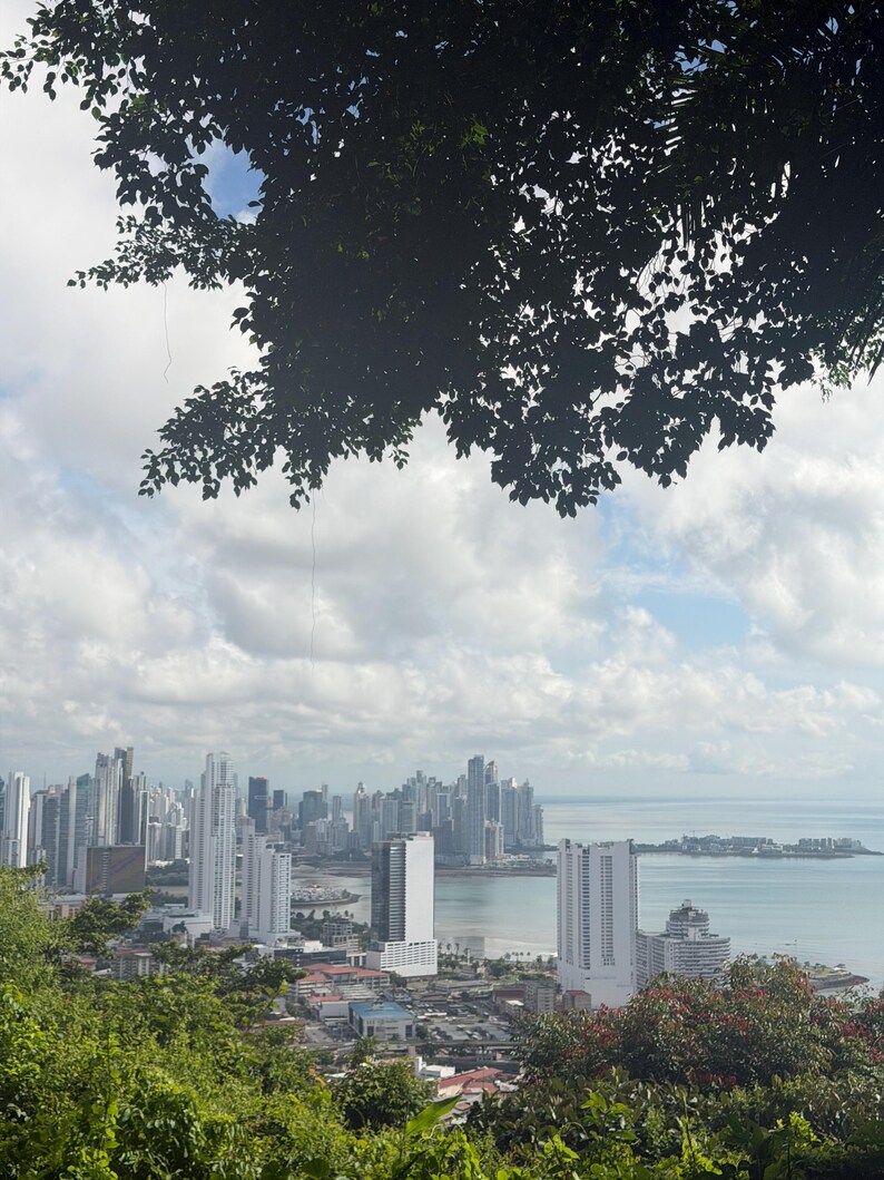 Op de afbeelding: Een stadsgezicht met talrijke hoge gebouwen langs een kustlijn. Weelderig groen gebladerte omlijst de voorgrond, terwijl de lucht bewolkt is. Het water is kalm, wat een heldere sc&egrave;ne oplevert.