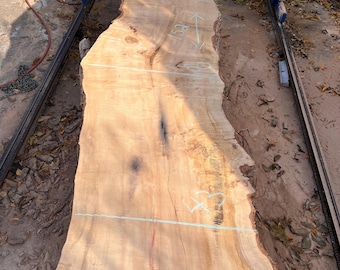 Clean XL Maple Slabs 50” by 150”
