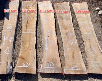 Boise Elm Live Edge Wood Slabs
