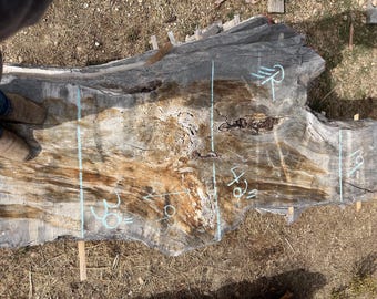 Curly maple Slabs 3 inch