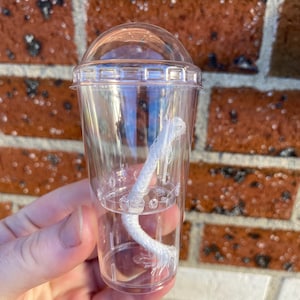 May include: A clear plastic cup-shaped container with a dome lid and a white fabric wick positioned inside. The container features a horizontal internal divider with small circular perforations and vertical structural ribs along the lower section.