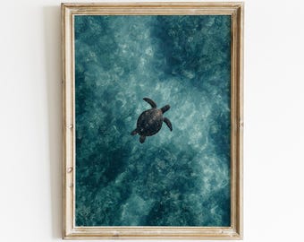 Sea Turtle Wall Art, Ocean Beach Decor Print, Coastal Sea Life Poster, Teal Nautical Wall Decor, Turtle Lover Gift, Tropical Coastal Art