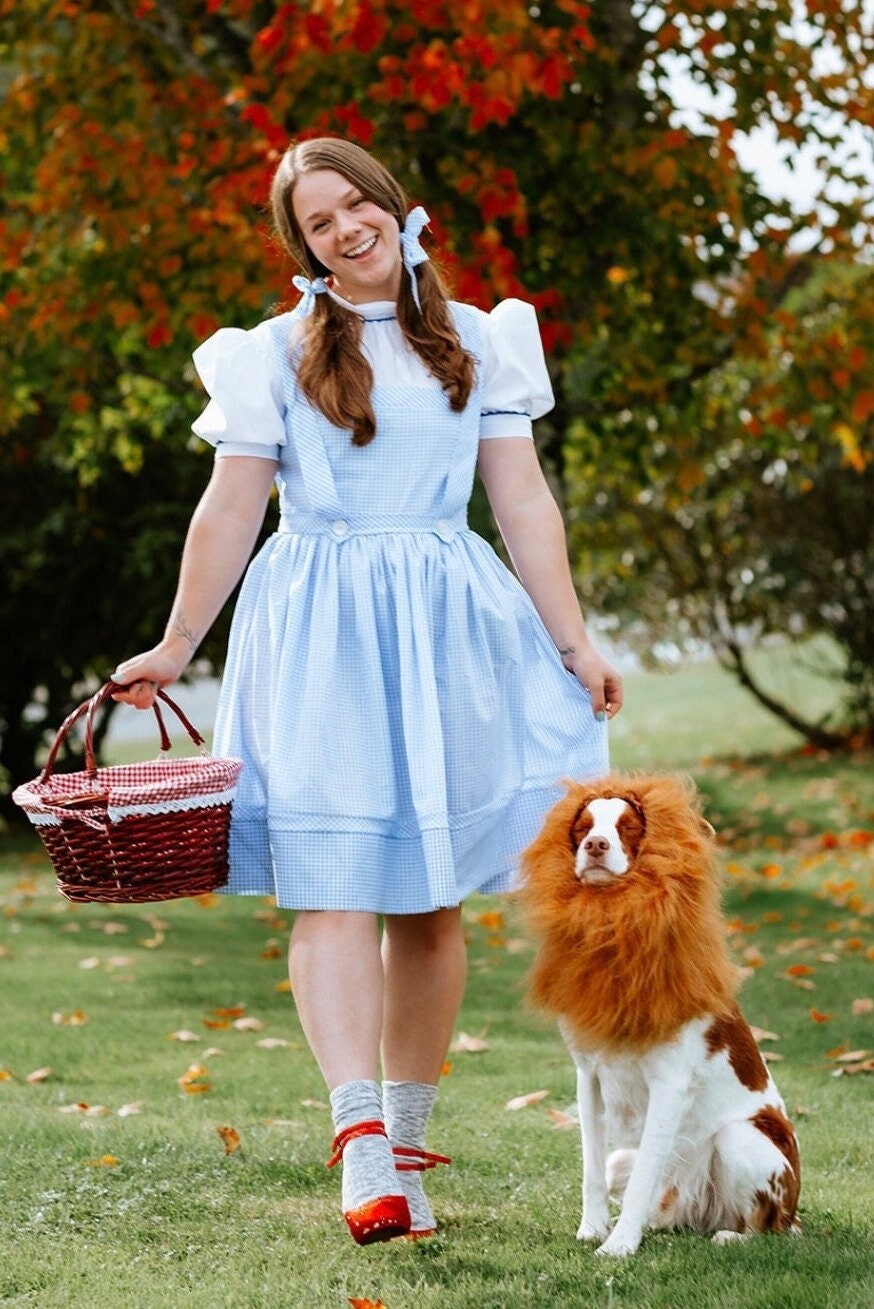 Dorothy of Oz MADE TO ORDER in any size Toddler to Adult