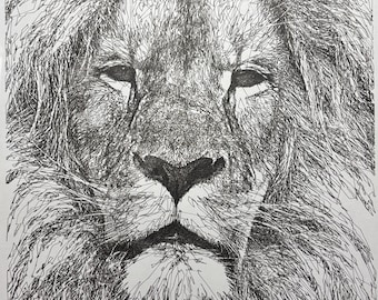 Lion Ink Drawing, Pen and Ink Drawing, Scribble Line Sketch, 11x14 Drawing