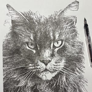 May include: A detailed pen and ink drawing of a cat's face, showcasing intricate line work. The cat's fur is depicted with dense, textured strokes, creating a realistic and expressive portrait. A clear pen rests on the side of the drawing.