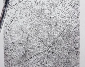 Pen and Ink Drawing, Tree Ring Drawing, Scribble Line Art, 11x14 Drawing, Wall Decor, Tree Art, Nature Sketch