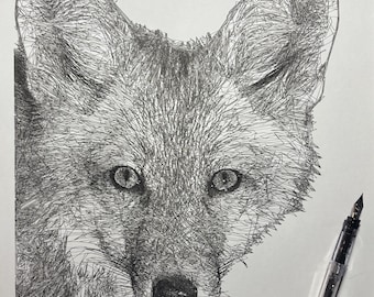 Fox Ink Sketch, Pen and Ink Drawing, Scribble Line Drawing, 11x14 Drawing