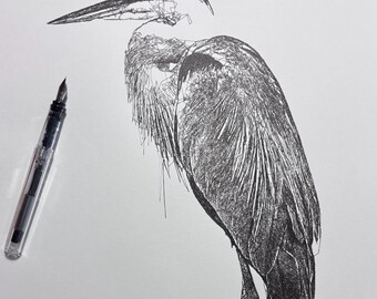 Pen and Ink Drawing, Blue Heron Drawing, Scribble Line Art, 11x14 drawing