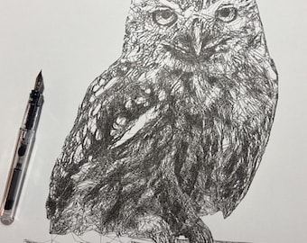 Owl on Wire Ink Sketch, Pen and Ink Drawing, Scribble Line Art, 11x14 drawing
