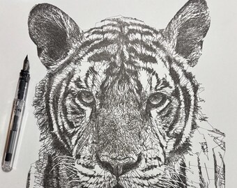 Tiger Ink Drawing, Pen and Ink Drawing, Scribble Line Art, 11x14 Drawing, Home Decor