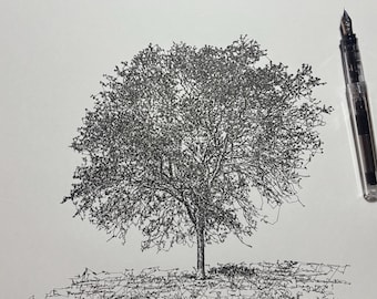 Minimalist Tree Ink Drawing, Pen and Ink Drawing, Scribble Line Art, 11x14 Drawing, Wall Decor, Countryside Art