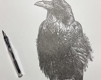 Crow Ink Sketch, Pen and Ink Drawing, Scribble Line Art, 11x14 drawing