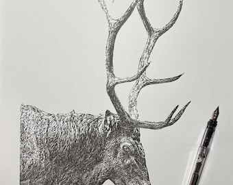 Deer Ink Sketch, Pen and Ink Drawing, Scribble Line Art, 11x14 Drawing