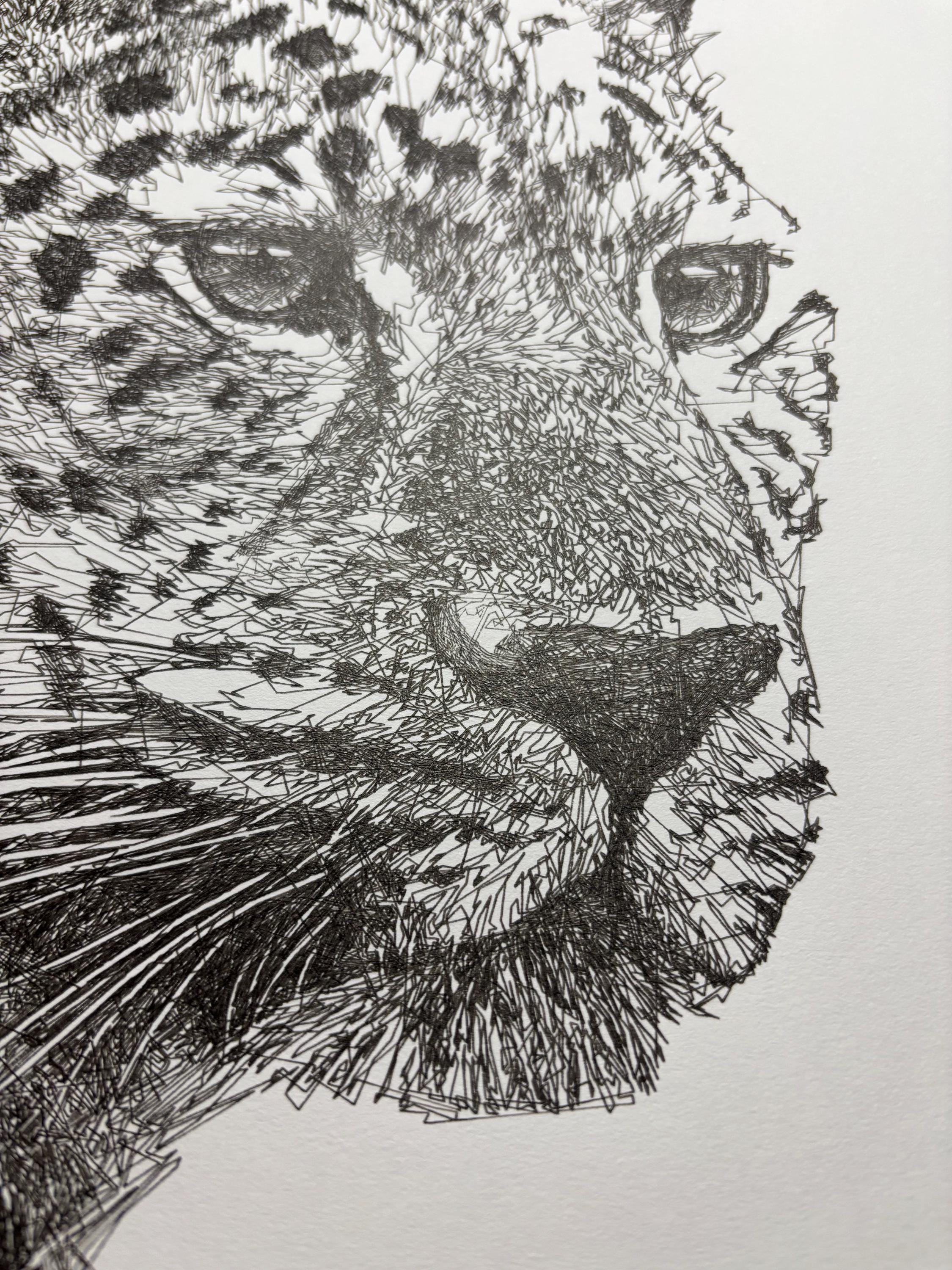Leopard Ink Drawing, Pen and Ink Drawing, Scribble Line Art, 11x14 ...