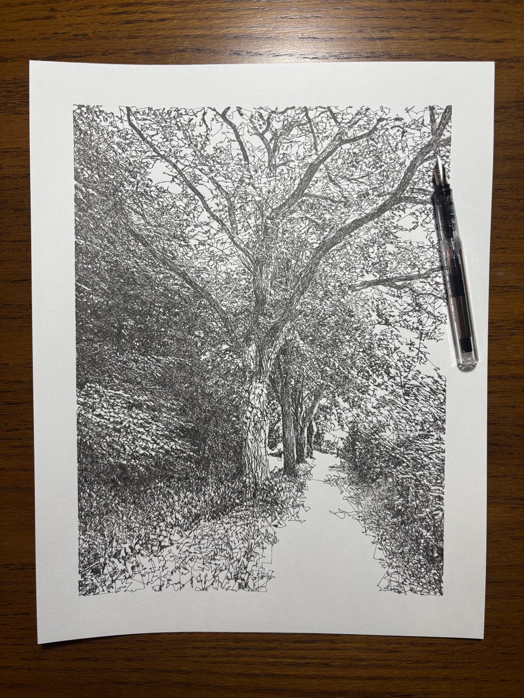 Rustic Woodland Path Ink Drawing, Pen and Ink Drawing, Scribble Line ...