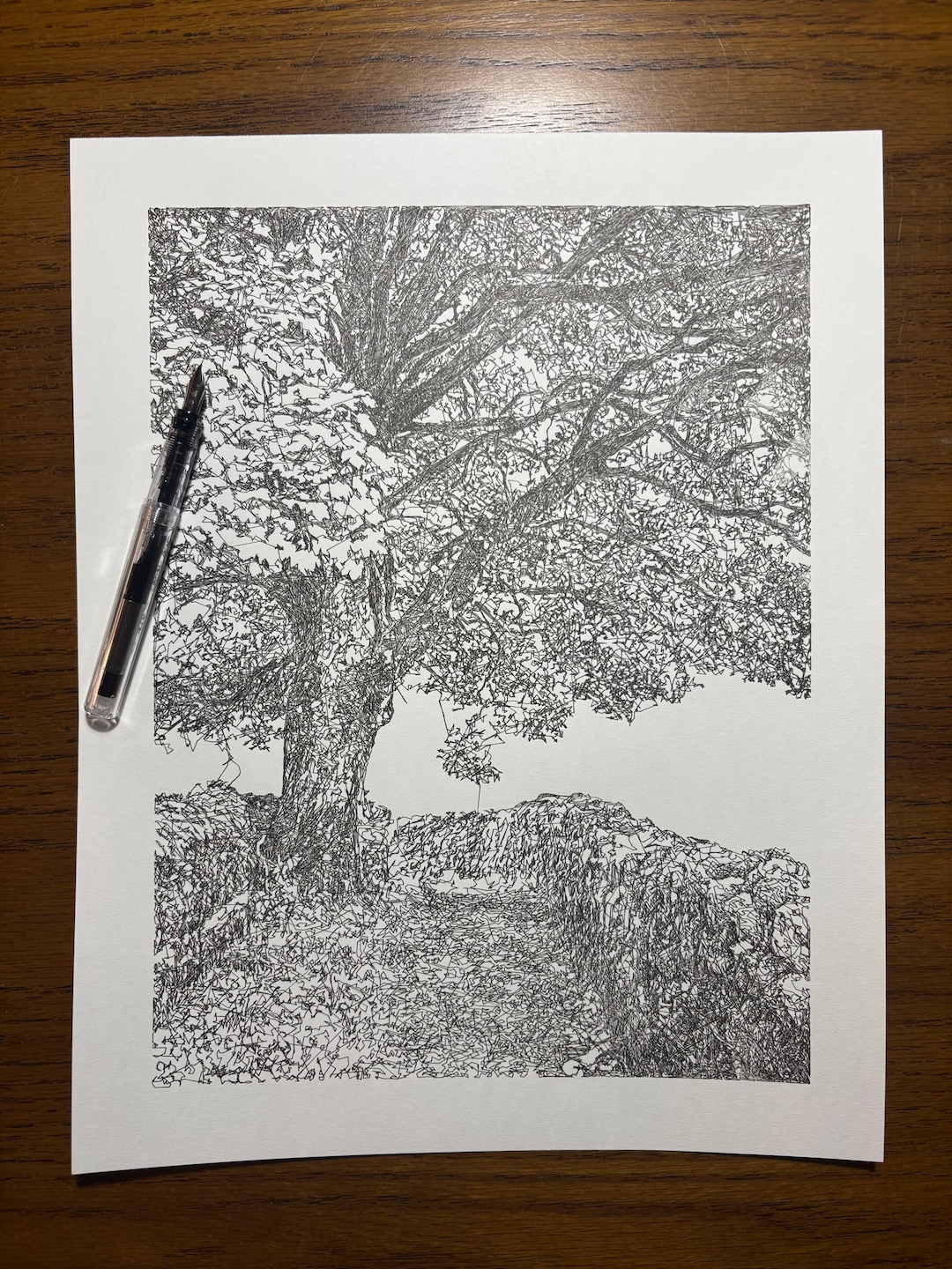 Rustic Draw Rustic Woodland Path Ink Drawing, Pen and Ink Drawing, Scribble Line ...