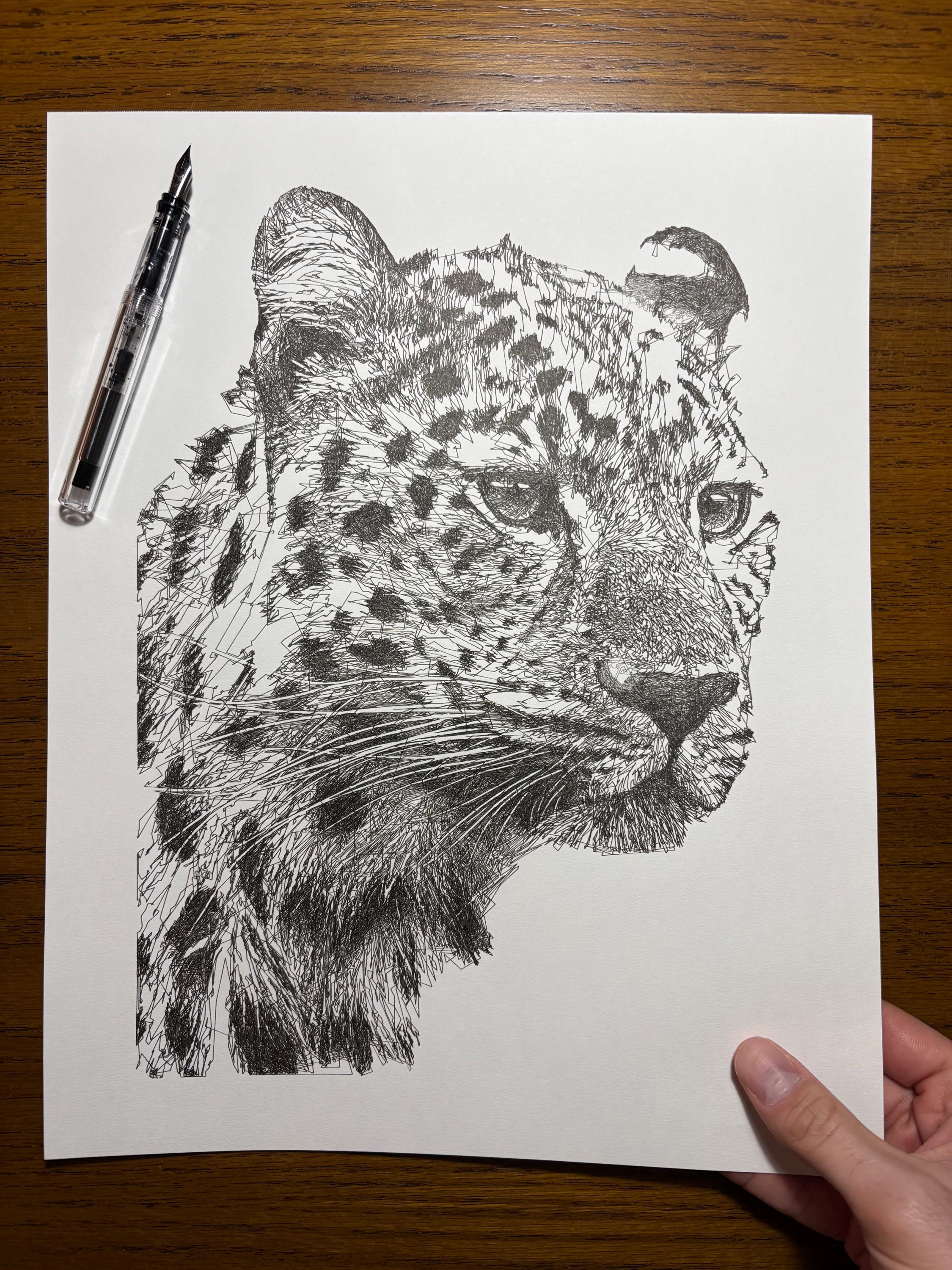 Leopard Ink Drawing, Pen and Ink Drawing, Scribble Line Art, 11x14 ...