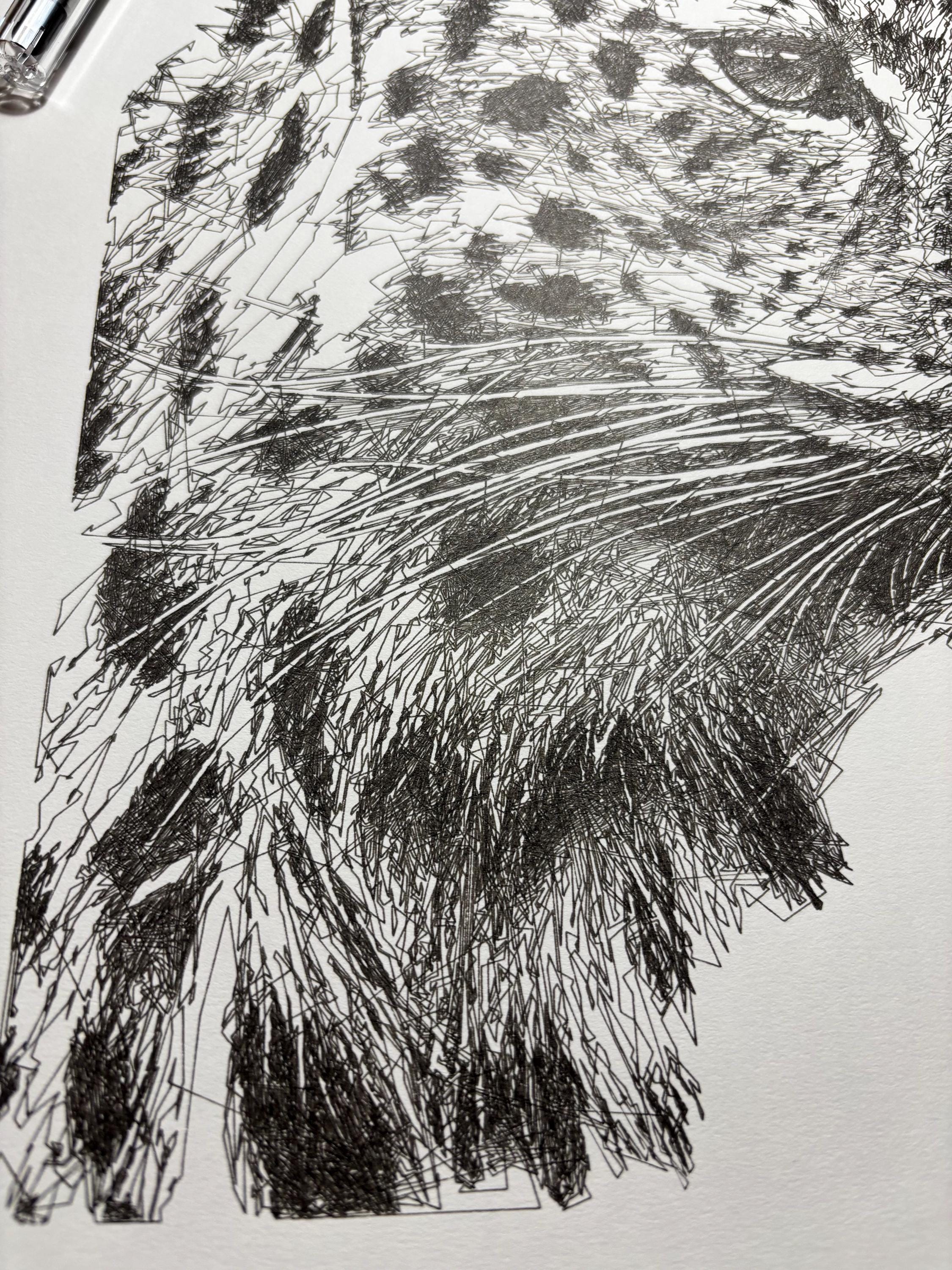 Leopard Ink Drawing, Pen and Ink Drawing, Scribble Line Art, 11x14 ...