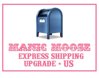Upgrade to US Express Shipping (overnight delivery in most states)