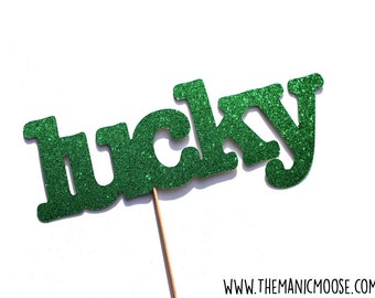 Lucky Glitter Prop - Wedding Photo Booth Props - You Choose Color