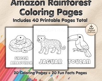 Dibujos para colorear de animales de la selva amazónica para niños / 40 hojas para colorear imprimibles con datos curiosos / Hojas de trabajo educativas para colorear