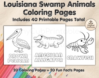 Dibujos para colorear de animales del pantano de Luisiana / 40 hojas para colorear imprimibles para niños con datos curiosos / Actividad educativa sobre la vida silvestre para niños
