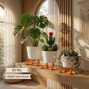 May include: Three white cylindrical plant pots, each supported by a pair of orange duck feet. The pots contain a large monstera plant, a cactus with a red top, and a trailing vine plant. The image includes the text Stl file digital download.