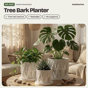 Puede incluir: Tres macetas cilíndricas blancas con un diseño texturizado de corteza de árbol, cada una sobre un plato circular a juego. Las macetas contienen plantas verdes, incluyendo una monstera y una suculenta, sobre una mesa de madera.