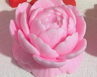 Hermosa flor de Peonia.