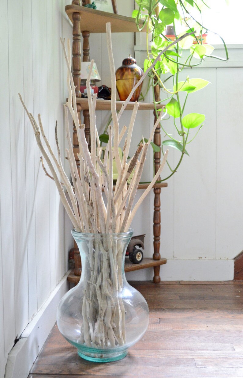 Natural Branches / Sticks / Twigs / Vase Filler Arrangement Etsy