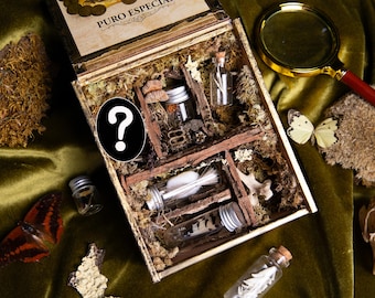 Natural History Mystery Box - Curio Altar - Oddities Collection | Magnifying Glass Included
