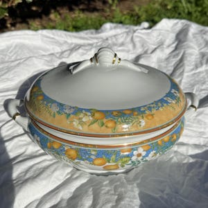 Peut inclure: Un plat de service en céramique blanche avec un couvercle, orné d'un motif d'agrumes orange, bleu et blanc. Le plat a des accents dorés sur les poignées et le couvercle. Il est probablement utilisé pour servir des aliments.