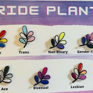 May include: A set of 8 pride flag themed leaf pins. The pins are clear with a black outline and feature the colors of the pride flags. The flags represented are: Gay, Trans, Non-Binary, Gender Fluid, Ace, Bisexual, Lesbian.