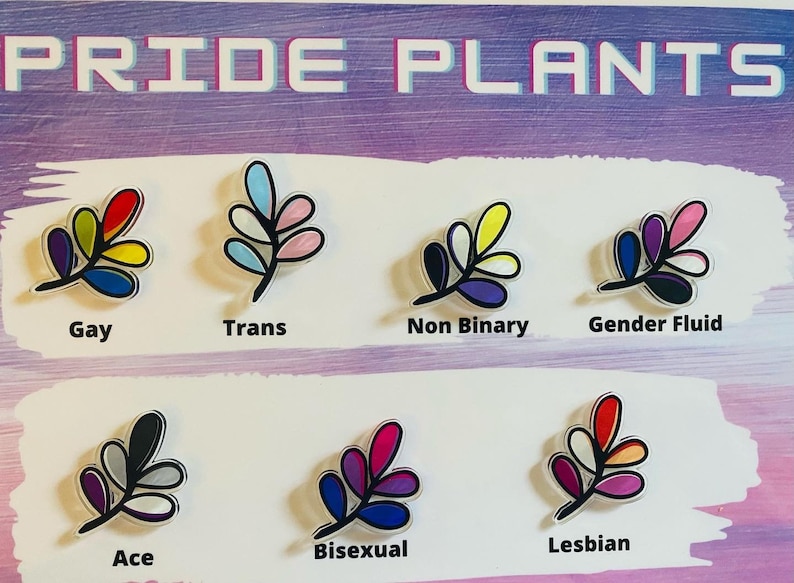 May include: A set of 8 pride flag themed leaf pins. The pins are clear with a black outline and feature the colors of the pride flags. The flags represented are: Gay, Trans, Non-Binary, Gender Fluid, Ace, Bisexual, Lesbian.
