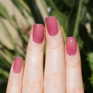 Regera: Bright Purple Wine Jelly Nail Polish Vegan 10-Free Formula