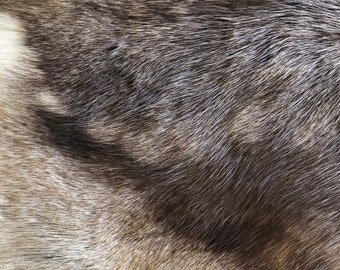 Reindeer Skin from Scandinavia Caribou Skin hide pelt throw reindeer hide rug