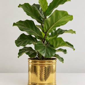 Vintage Wildwood Industries Large Hammered Brass Planter | 12" Solid Brass Cachepot, Made in USA | Oversized Floor Houseplant Container