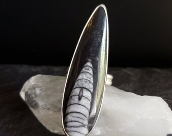 Orthoceras fossil dagger ring  | Handmade Art jewelry | Collector's jewelry