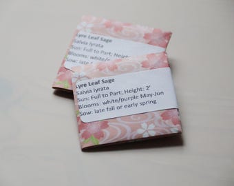 Lyre Leaf Sage Seed Packet - Salvia lyrata