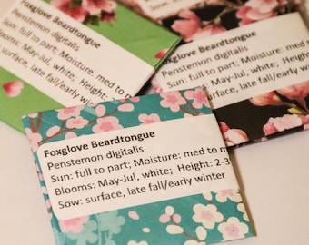 Foxglove Beardtongue Seed Packet - Penstemon digitalis