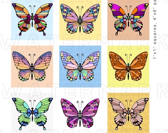 MOTYL MOTYLE ĆMY Kolaż cyfrowy Grafika cyfrowa