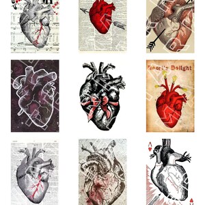 CORAZONES Anatomía Dibujos anatómicos Corazones anatómicos Gráficos digitales Hoja de collage digital Descarga instantánea Rectángulos